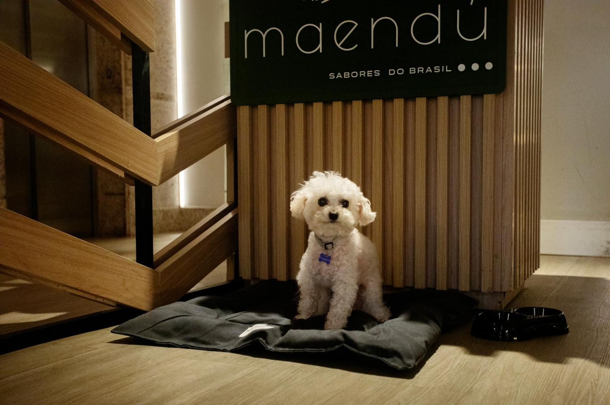 Mercure Maceio Pajucara Exteriör bild